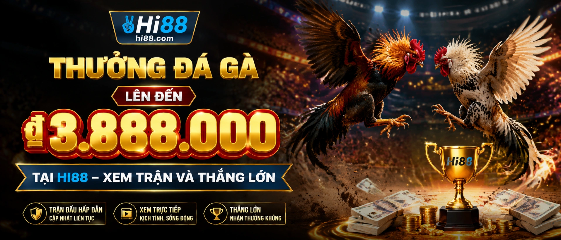 Đá Gà trực tiếp trên hi88.com.bz